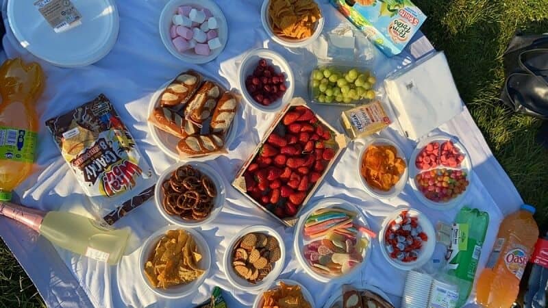 picnic damsen