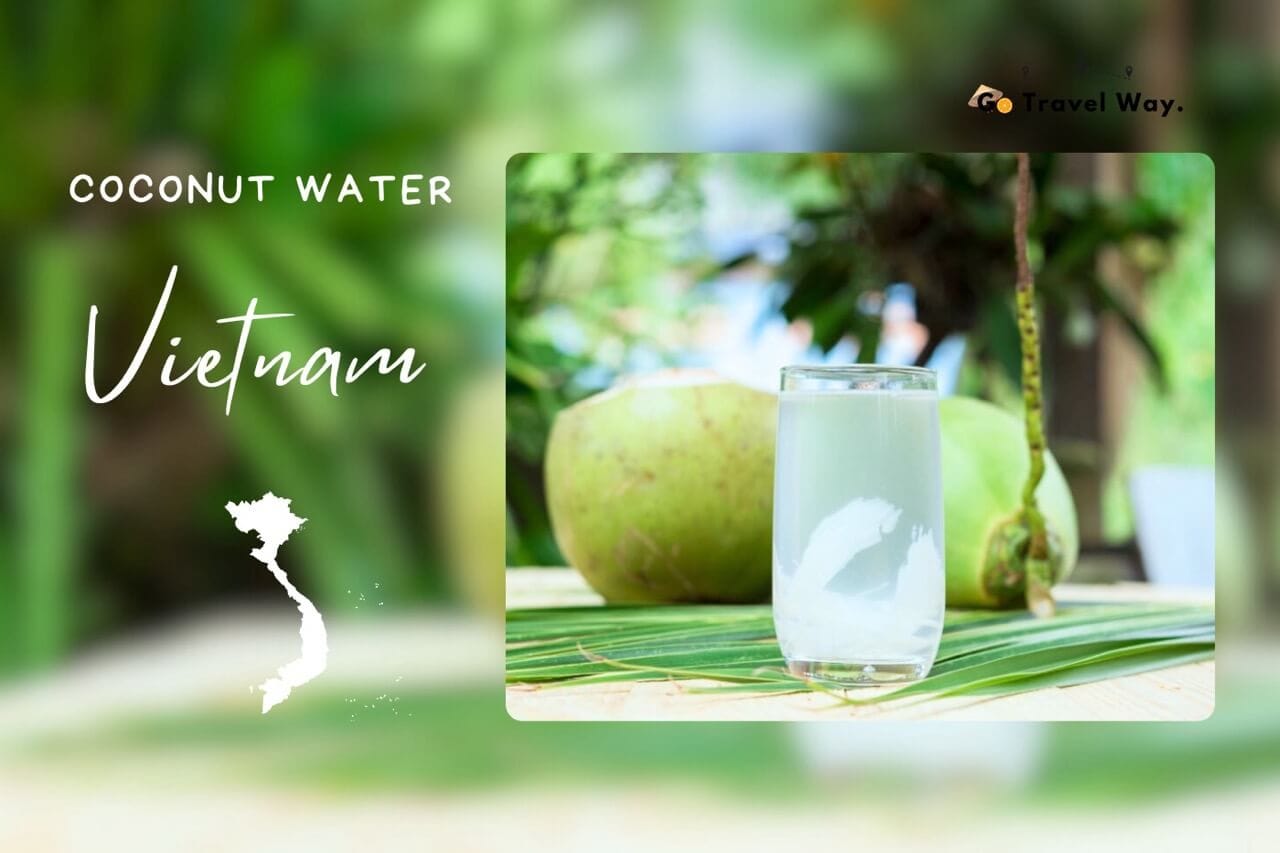 Coconut Water Vietnam: Discover the Refreshing Taste of a Tropical Paradise